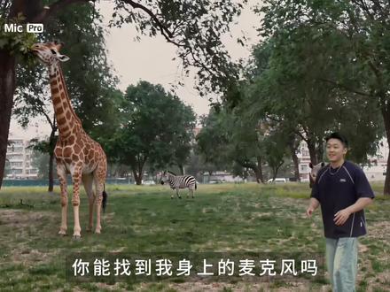 现在麦克风都进化成这样了?丨影石Mic Pro 现在的麦克风进化成这样了?
用了这么多无线麦,影石 Mic Pro 真的给我整破防了!全球首款墨水屏无线麦克风,直接把烦人的大 logo 换成了能随便换图的墨水屏!再也不用接商拍贴胶布了,传个自己的账号logo上去,直接变成我的专属配饰,戴在胸口、手腕、甚至当项链都好看!
但别以为它只会搞颜值,收音才是真的杀疯了!三麦阵列 + 4 种专业收音模式,单个麦就能录立体声!超高指向模式只收正前方的声音,户外杂音根本进不来;降噪效果更是绝,马路边开强档直接秒变安静,还有自动防爆音和32bit 内录,再也不怕废素材了!
这才是真懂创作者的麦克风啊,颜值实力双在线,做博主的真的可以闭眼冲!
#无线麦克风#影石MicPro #影石Insta360#墨水屏麦克风 #影石无线麦克风