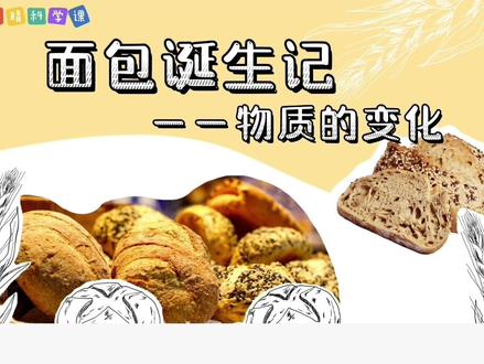 面包诞生记——物质的变化 (告诉你“物理变化”与“化学变化”的区别)#动画 #科普 #儿童科学