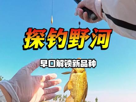 钓友们钓过这么大的趴地虎吗! #原来钓鱼才是抖音顶流活动 #钓鱼 #女钓友 #渔之源钛武神 #钓鱼王地狱猫