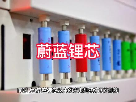 蔚蓝锂芯上市公司基本情况介绍