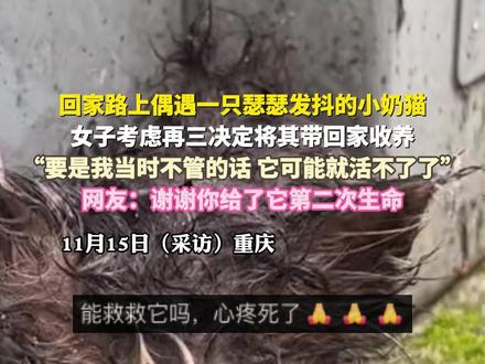 回家路上偶遇一只瑟瑟发抖的小奶猫,女子考虑再三决定将其带回家收养,“要是我当时不管的话,它可能就活不了了”,网友:谢谢你给了它第二次生命(来源:@汤汤圆 )#流浪猫 #救助 #总有温暖在身边