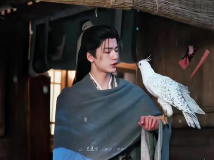 隼隼这次给谢征长面子啦#剧情#张凌赫#田曦薇#逐玉