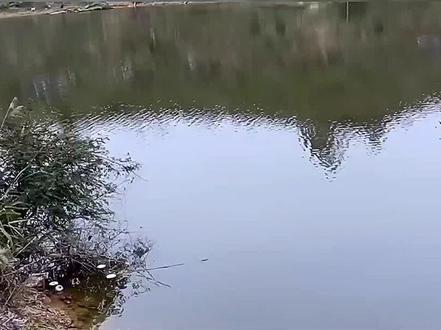 如何看风向钓鱼,你知道吗?兄弟们#达瓦狼牙 #户外钓鱼 #钓鱼人 #达瓦狼牙长竿 #野钓 #钓鱼知识 #钓鱼教学 #一竿鬼窝