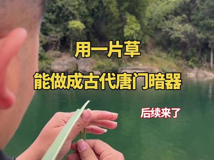 用一片草能做出古代唐门暗器,后续来了
