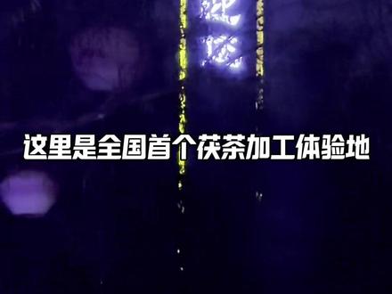 第119天茯茶镇 #东天山来的骆驼队 茯茶镇的记忆!#知识科普 #茯茶镇