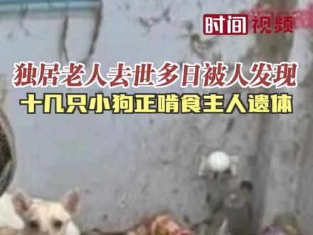 泰国独居老人去世多日被人发现 十几只小狗正啃食主人遗体
