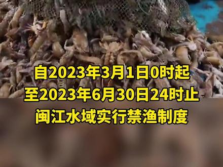 全面禁止!福建下月起施行! #休渔期 #禁止 #福建