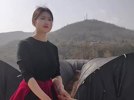 我亲爱的先生,身处低谷不自弃,我命由我不由天,无人扶我凌云志,我自踏雪至山颠,倘若命中无此运,孤身一人蹬昆仑,苦厄难夺凌云志,不死终有出头日,他朝若有翻身时,生吃黄连也叫甜!#中国鼓🔥 #男儿当自强#音乐一响年味拉满 #一起学打鼓#民族乐器