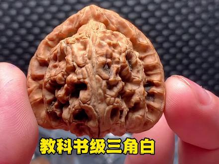 真正的老款三角白见过没?这种教科书级的东西我很久没见过了……#核桃届天花板 #精品文玩 #文玩核桃 #三角白 #狮子头