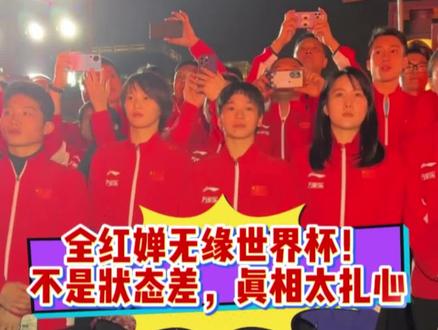 全红婵无缘世界杯!不是状态差,真相太扎心#全红婵 #跳水 #陈芋汐 #体育