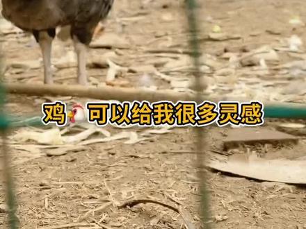 开龙脊之仿生技,每一个生灵都有它独到之处#热门