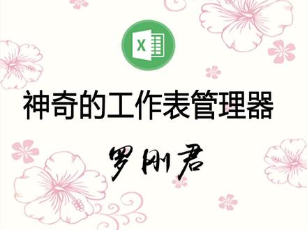 工作表管理神器①批理加密解密②批量隐藏显示③批量保存为文件 #罗刚君 #E灵 #Excel插件 #excel