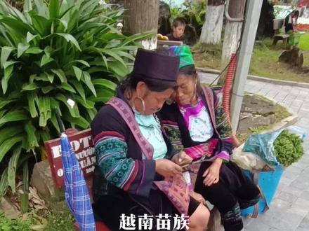 越南苗族和云南苗族语言相同,所以有云南的苗族去到越南找老婆就特别容易#越南女孩 #越南 #民族特色民族文化 #记录国外真实生活 #苗家姑娘