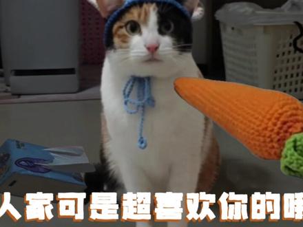 萝卜还是纸巾!? #萝卜纸巾猫咪 #萝卜 #纸巾 #真棒 #meme