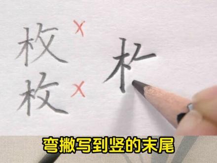 枚字这样写,规范又好看! #硬笔书法 #少儿书法