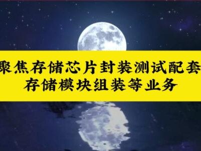 存储芯片概念股,存储芯片龙头股,存储芯片概念龙头股