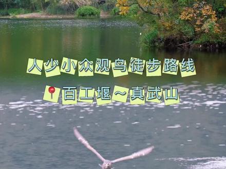 人少景美、距离近、可观鸟钓鱼的小众徒步路线分享给大家
#抖音生活观察计划 #出汗的感觉真好 #秋冬是去户外最好的季节 #徒步治愈了一切不美好 #成都周边游