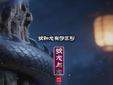 为何蛟龙不是龙 #蛟龙 #龙