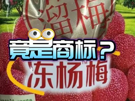 溜溜梅的"冻杨梅""真乌梅",“冻杨”“真乌”都是商标 #商标 #年货