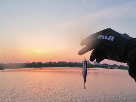 水库如何路亚翘嘴,翘嘴感觉是淡水中最难钓的,不知道你的感觉是不是?#路亚 #路亚钓鱼 #路亚野钓 #路亚新手入门教程 #路亚教学