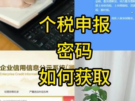 个税客户端申报密码如何获取#会计 #会计实操 #财务 #财务人 #个人所得税申报