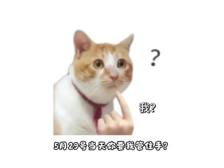 5月29号当天,一定要管住手,因为30号晚8点才是618力度都最大的时间段#618 #数码科技 #618好物节
