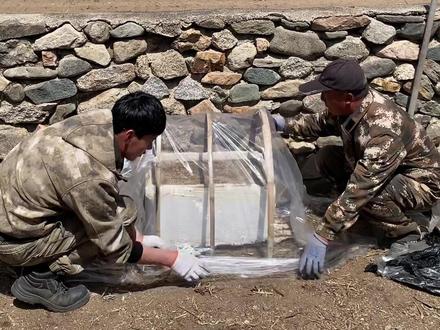 一分耕耘一分收获,仿佛看到了热腾腾的烤地瓜在像我招手! 😃 #春种 #栽地瓜秧子 #记录我的农村生活