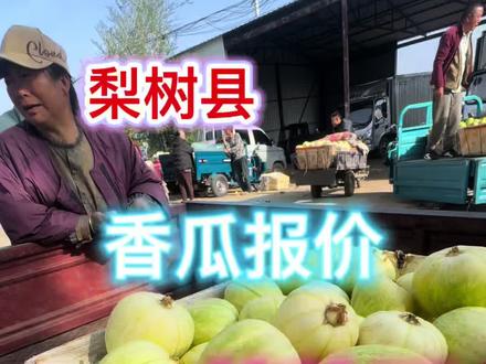 吉林省四平市梨树县杨家村香瓜主产区,生活大面积成熟,希望各地老板来梨树收货,香瓜现在成滞销状态,感谢社会对梨树农业的支持 #甜瓜 #抖音助农#为家乡优质农产品代言
