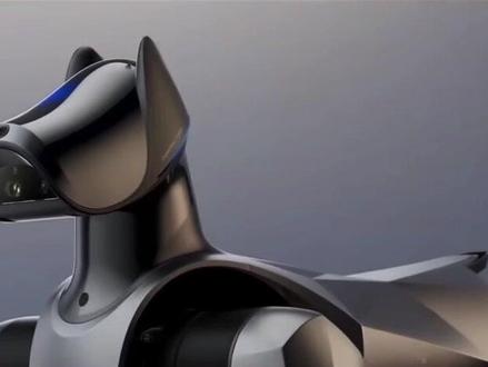 刚刚发布的小米新一代机器狗「铁蛋2」都掌握了哪些新技能?来看看雷军在发布会现场是怎样介绍的。#雷军 #机器狗 #铁蛋 #Cyberdog#仿生机器人 @抖音科技