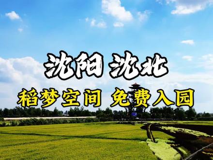 听说沈阳沈北稻梦空间马上就要开园了 而且还有免费入园的活动不限制年龄也不限制时间!#稻梦空间 #夏赏稻田冬玩雪 #沈阳乡村游玩天花板 #一种很新的生活记录方式 #我是热点劳模