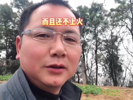 #乡村生活#三农#乡村振兴#瓜蒌籽 你知道瓜蒌皮的作用和炮制方法吗?