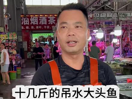 十几斤的吊水大头鱼,这个品质值不值13一斤?#杀鱼技术 #刀工 #厨房菜刀