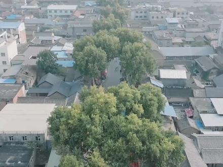 【山西人怎么这么爱睡午觉?这个答案我服】为啥山西人这么爱睡午觉?或许就是“风拂沁水五千年,厚重的文明,滋养出了这里的气定神闲。”