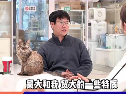 骏良贸大校友访谈 #骏良 #明亮与狗 #骏良贸大 #骏良采访 (来源贸大MBA 公众号)