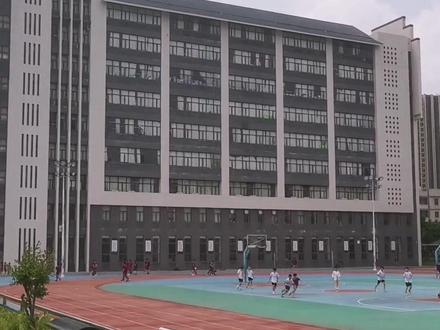 湛江市博雅学校 环境好 #美丽校园 #