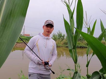 流水路亚鳜鱼,铅头钩+T尾,轻松爆扣