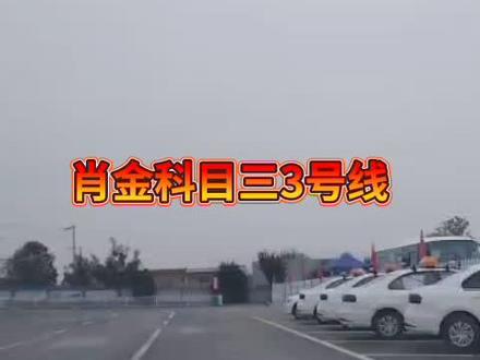 肖金科目三3号路线指南