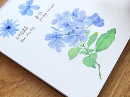 四种蓝色小花的画法🎨超简单的画法教学~
视频开头有点虚焦了哈,不好意思,#水彩手绘 #水彩花卉 #水彩 #水彩过程 #水彩教程