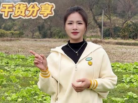 养殖的五步蛇一天吃几顿#五步蛇 #三农 #养蛇 #采蛇毒的小姑娘 #涨知识