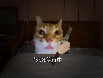 小时候除夕夜最期待的事情 灵感来源@猫meme小剧场 时装来源QQ炫舞
#猫meme #过年 #除夕夜幸福瞬间 #小时候的快乐很简单 #过年