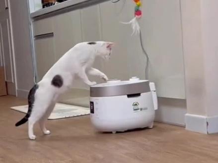 好奇害死猫?看客户十宽一路由的神操作 #好奇心害死猫 #光猫 #路由器#宽带报装