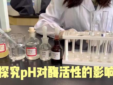 探究pH对酶活性的影响