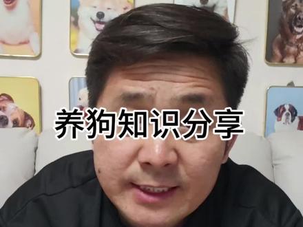 养狗知识分享#养狗知识分享
