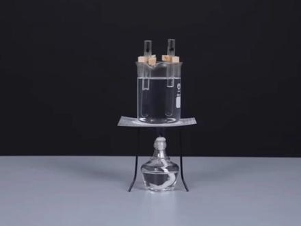 DNA的粗提取与鉴定 #高中生物 #基因工程