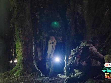 深夜哀牢山惊喜探索!#刘耀文 跟着专家摸黑“寻宝”,在土里认真翻找昆虫新朋友!#宇宙闪烁请注意