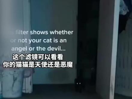 一款可以看清猫猫是天使还是恶魔的特效