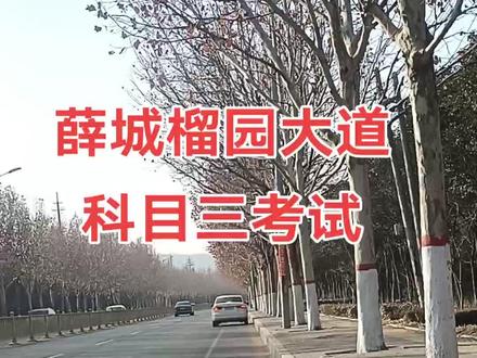 枣庄支队榴园大道科目三考场