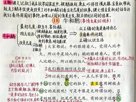 四年级上册语文,第18课《牛和鹅》课堂笔记参考。#期末复习 #小学语文 #四年级上册语文
