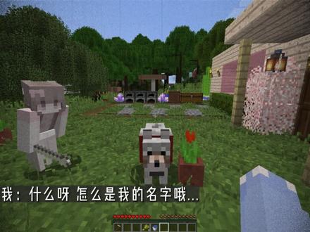 我初见玫瑰,始于荆棘之上。后毁于我手