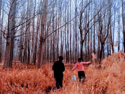 《生根》第四集#我就这样开启2026 #剧情 #原创作品 #热门短剧推荐 #农村生活